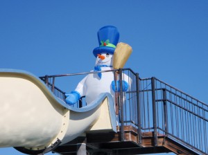 Polar Plunge Slide