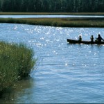 Father and Sons in Canoe