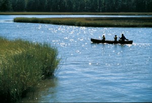 Father and Sons in Canoe