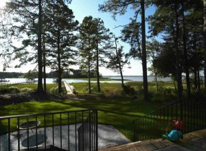 waterfront view at The Riverfront